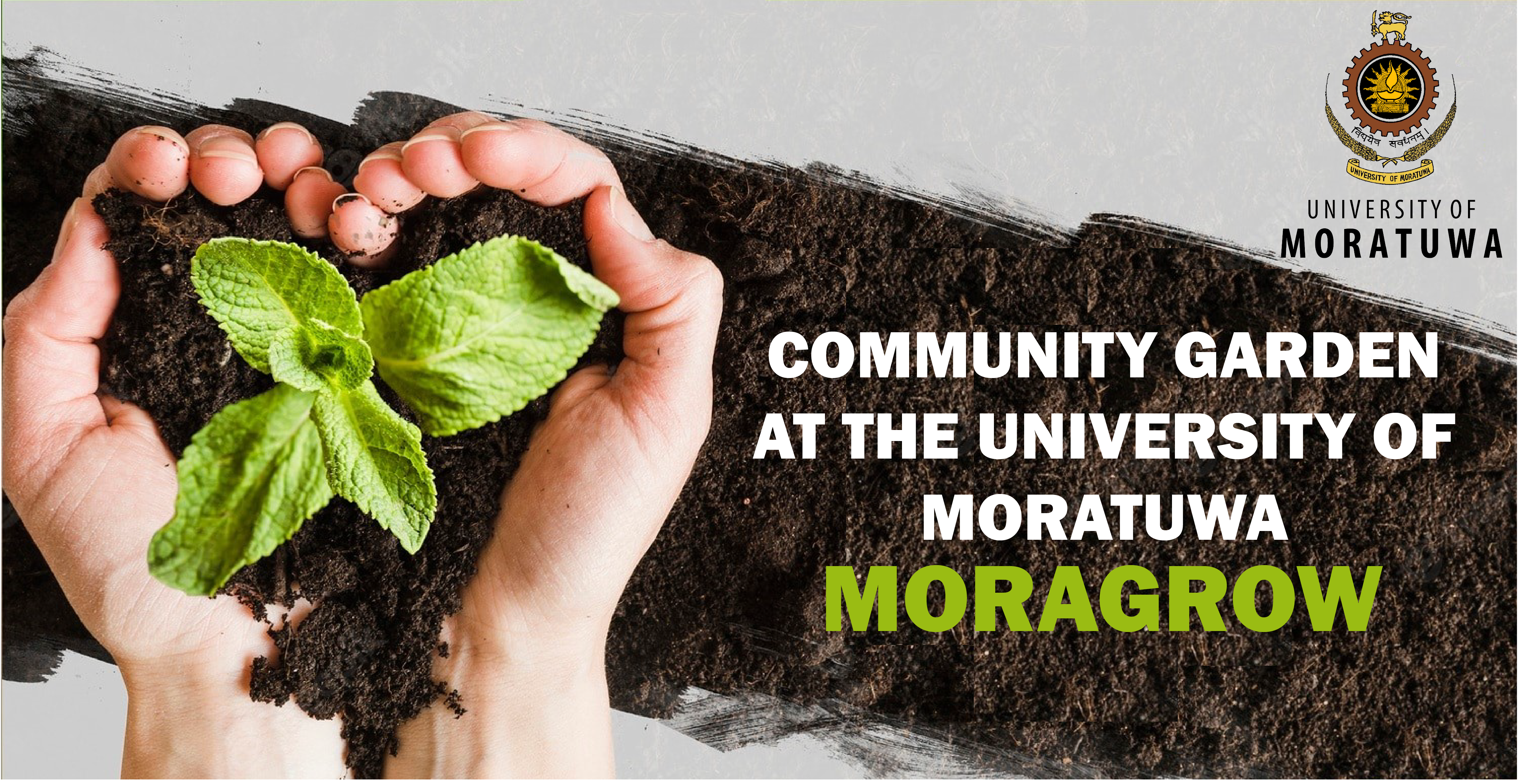 COMMUNITY GARDEN AT THE UNIVERSITY OF MORATUWA: MORAGROW