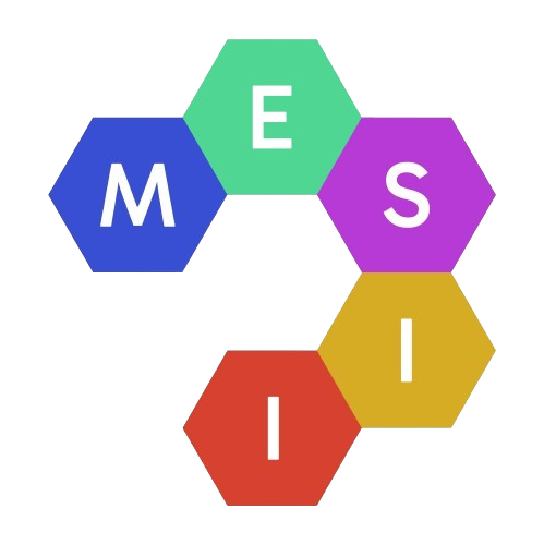 MESII conference