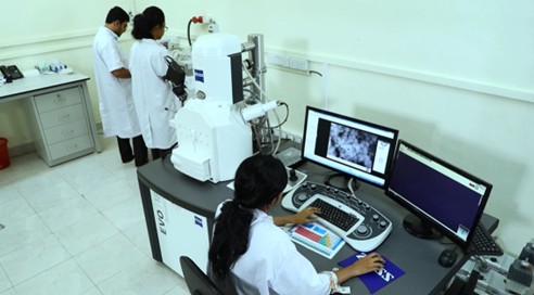 Scanning Electron Microscope