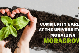 COMMUNITY GARDEN AT THE UNIVERSITY OF MORATUWA: MORAGROW
